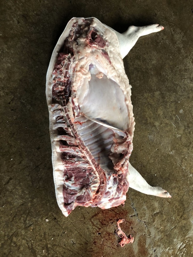 藏香猪肉六分体