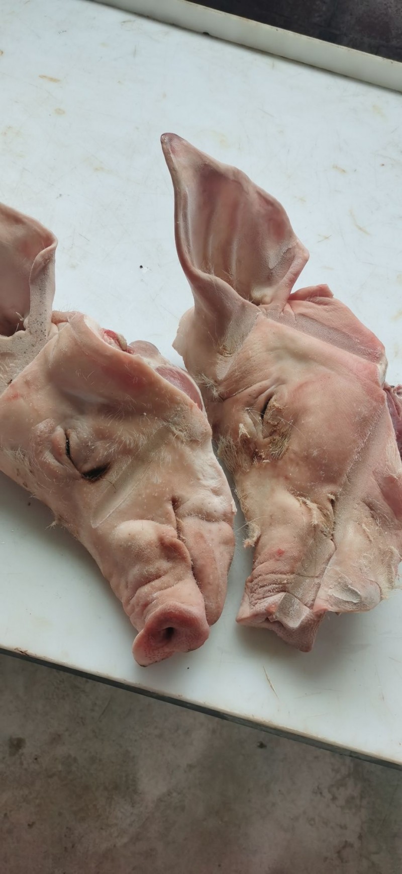 鲜猪头批发广东茂名市鲜猪头价格_肉交所