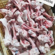 肘骨