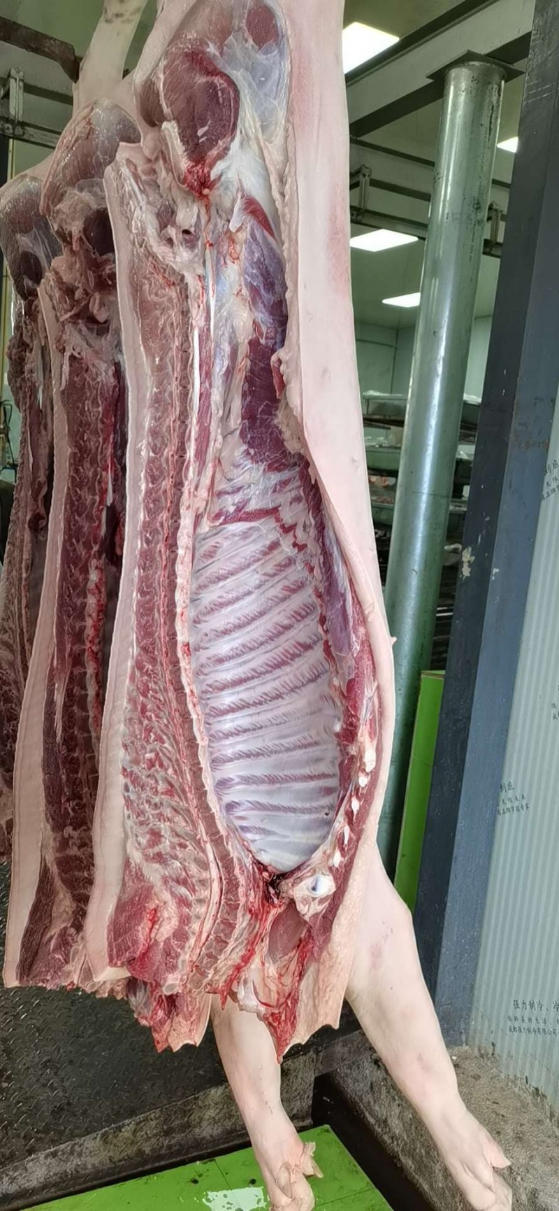 首页 供应 猪产品 猪白条 冷鲜白条