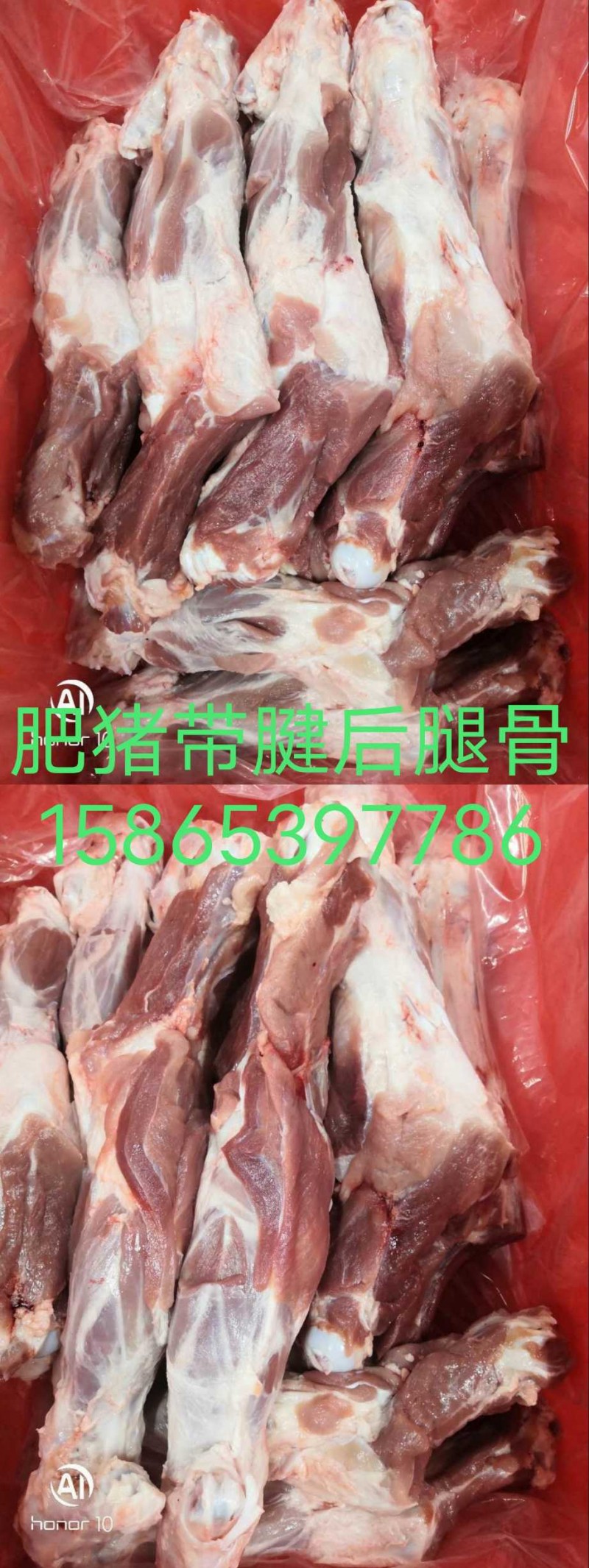 国产带腱后腿骨