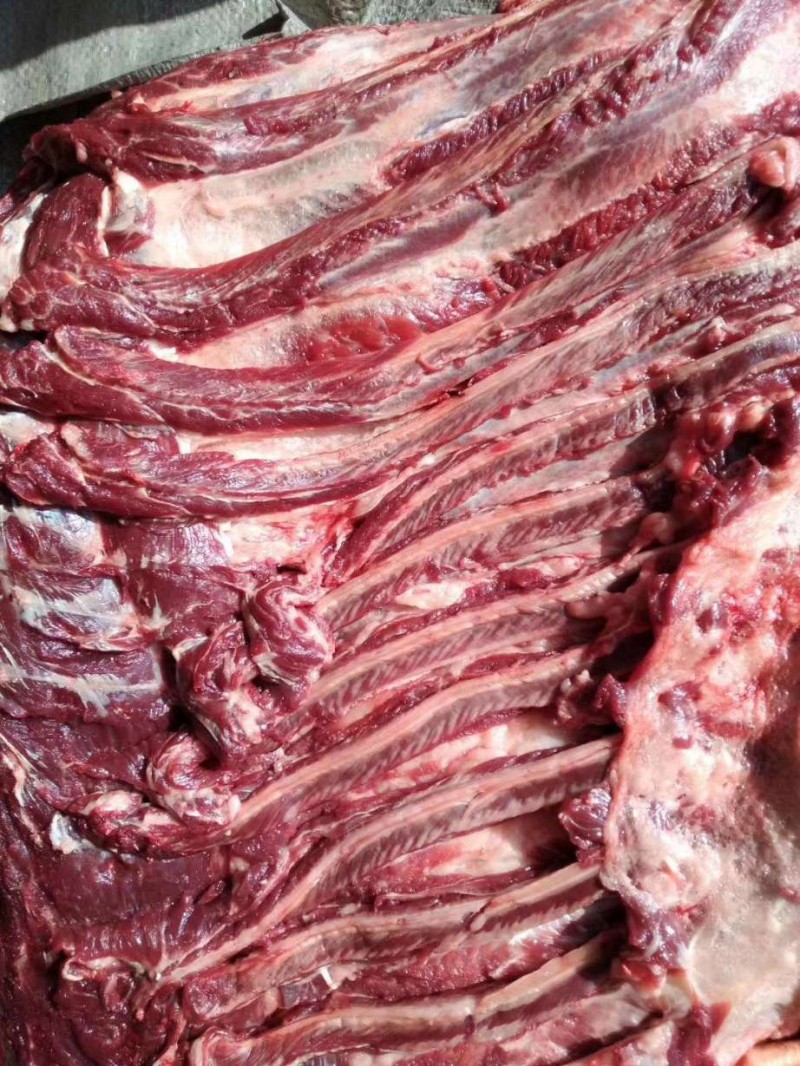 马肉现宰鲜马肉