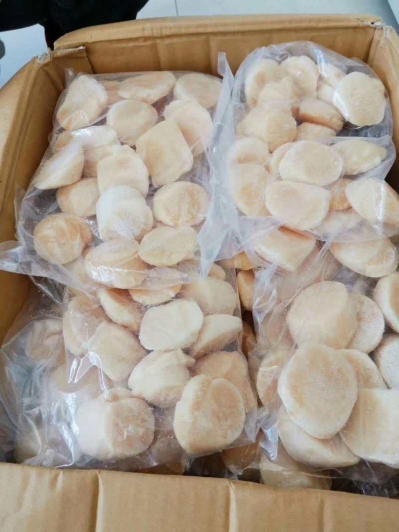 带子批发山东青岛市带子价格_肉交所