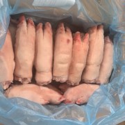 意大利404大后