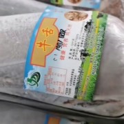 牛舌