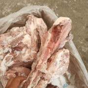 母猪尾叉骨