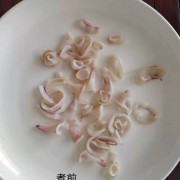 鱿鱼残条