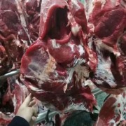 鲜牛后腿肉