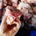前腿拐骨