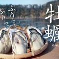 日本北海道牡蛎