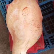 152后段