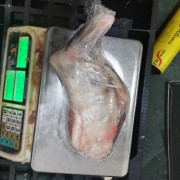 羔羊前腿
