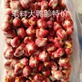 大鸭胗毛料