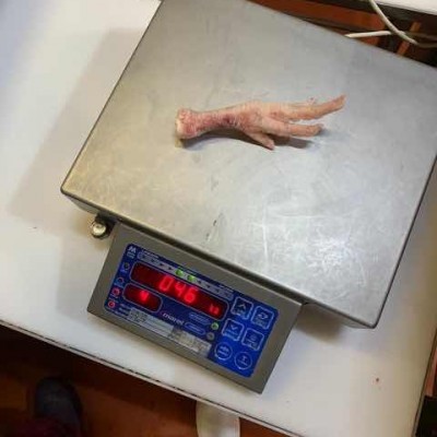 A级  鸡脚