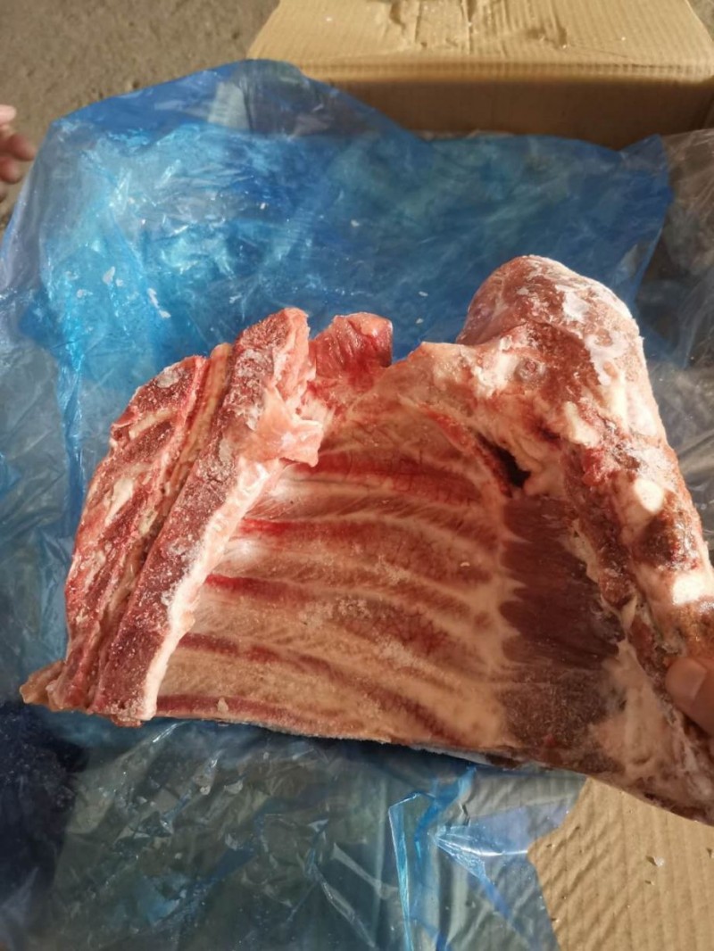 国产去颈去翅前排