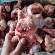 5002半截腿骨