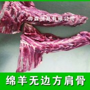 无边羊方肩骨