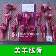 羔羊肱骨