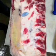 精品美肥