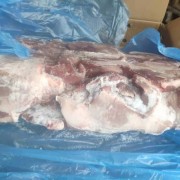 帕特尔二号肉