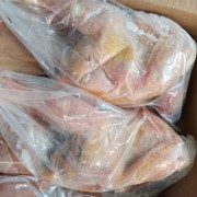 山鸡白条