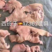 1274猪面具
