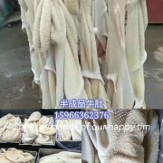 半成品牛肚