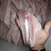 鱼肉大头鱼肉肉丸