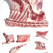 澳洲282厂羊肉