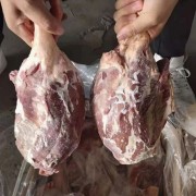 阿根廷13厂