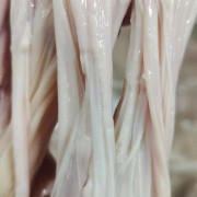 鸭食管
