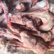 母猪腿骨低价出