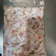 鸡脚筋