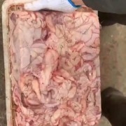 花肠
