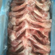 绵羊双节前腿骨