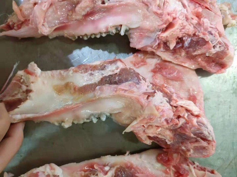 猪头下颚骨批发广东佛山市猪头下颚骨价格_肉交所