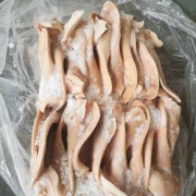 改包猪耳