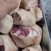 脚圈肘圈