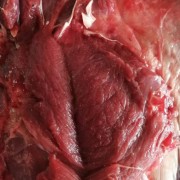 牦牛肉