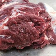 新鲜梅花鹿 鹿肉