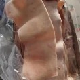 0606背皮