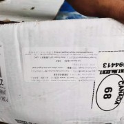 加拿大68四号肉