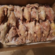 三黄鸡麻鸡白条鸡