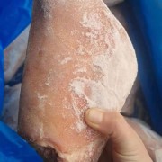 改包前肘