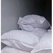 羊皮