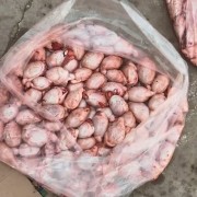 国产鲜羊宝