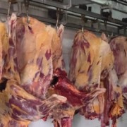 绿色有机牦牛肉