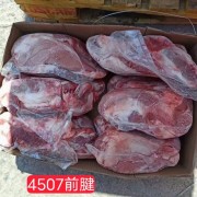 4507前腱