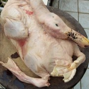 老鸭