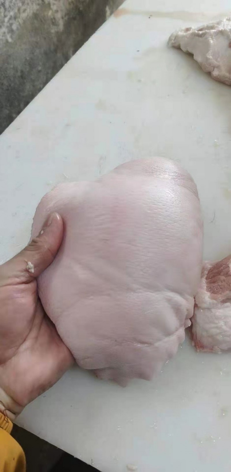 带皮三角精修槽头